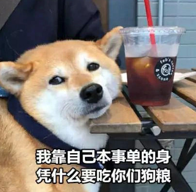 185cm超强肌肉狼狗,大胸大D超多私密照 185cm超强肌肉狼狗,大胸大D超多私密照
