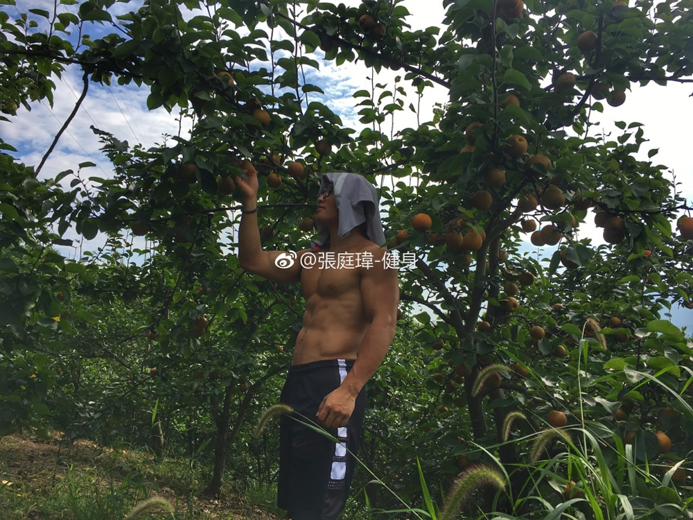 微博网络红人肌肉男 健身肌肉帅哥张庭玮