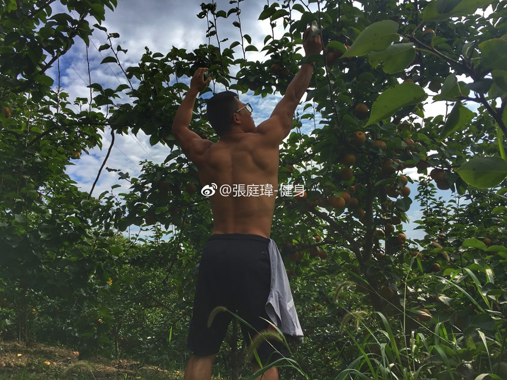 微博网络红人肌肉男 健身肌肉帅哥张庭玮