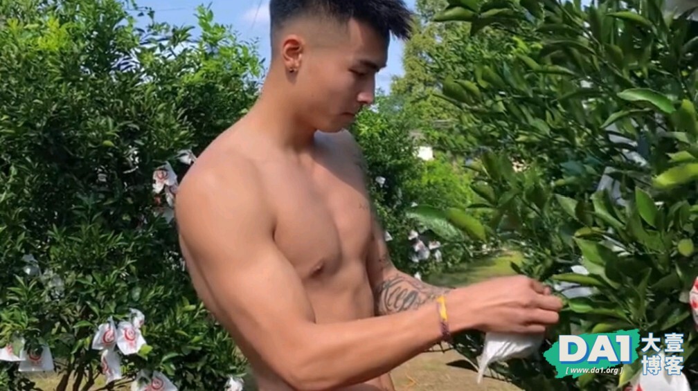 这枚家里有果园的肌肉型男，你爱了吗？-大壹博客