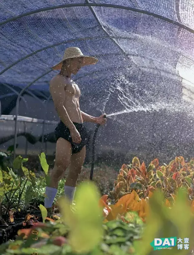 8枚肌肉帅哥袭来,有没有你心仪的类型? 8枚肌肉帅哥袭来,有没有你心仪的类型?