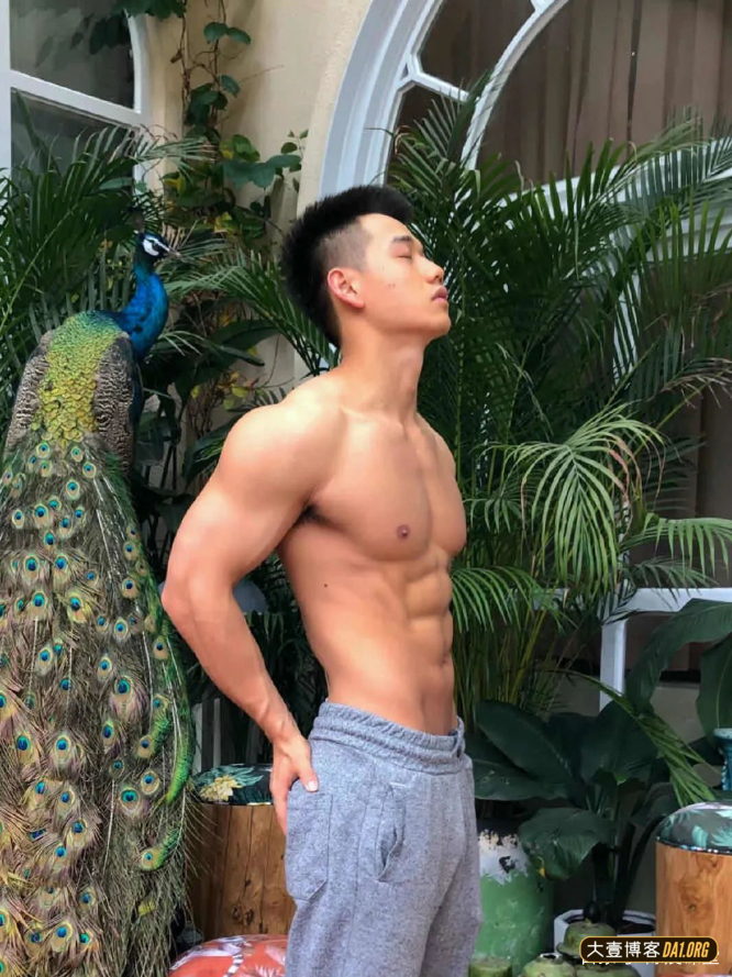 眉清目秀的运动小哥，穿灰裤子太可了，秀出腹肌的他更不错