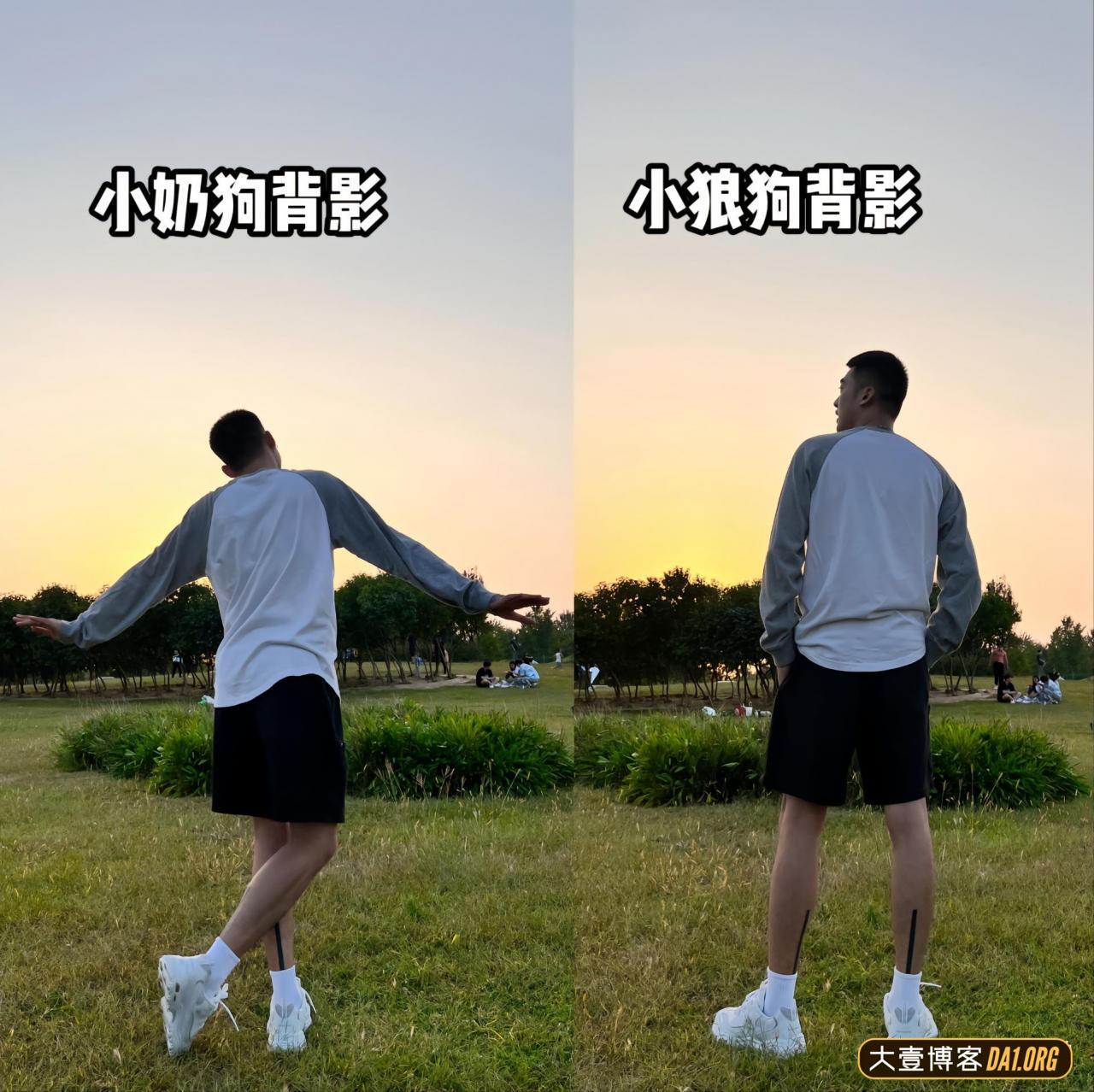 帅哥亲身示范奶狗跟狼狗拍照区别，粉丝调侃：是奶狗不是母狗！