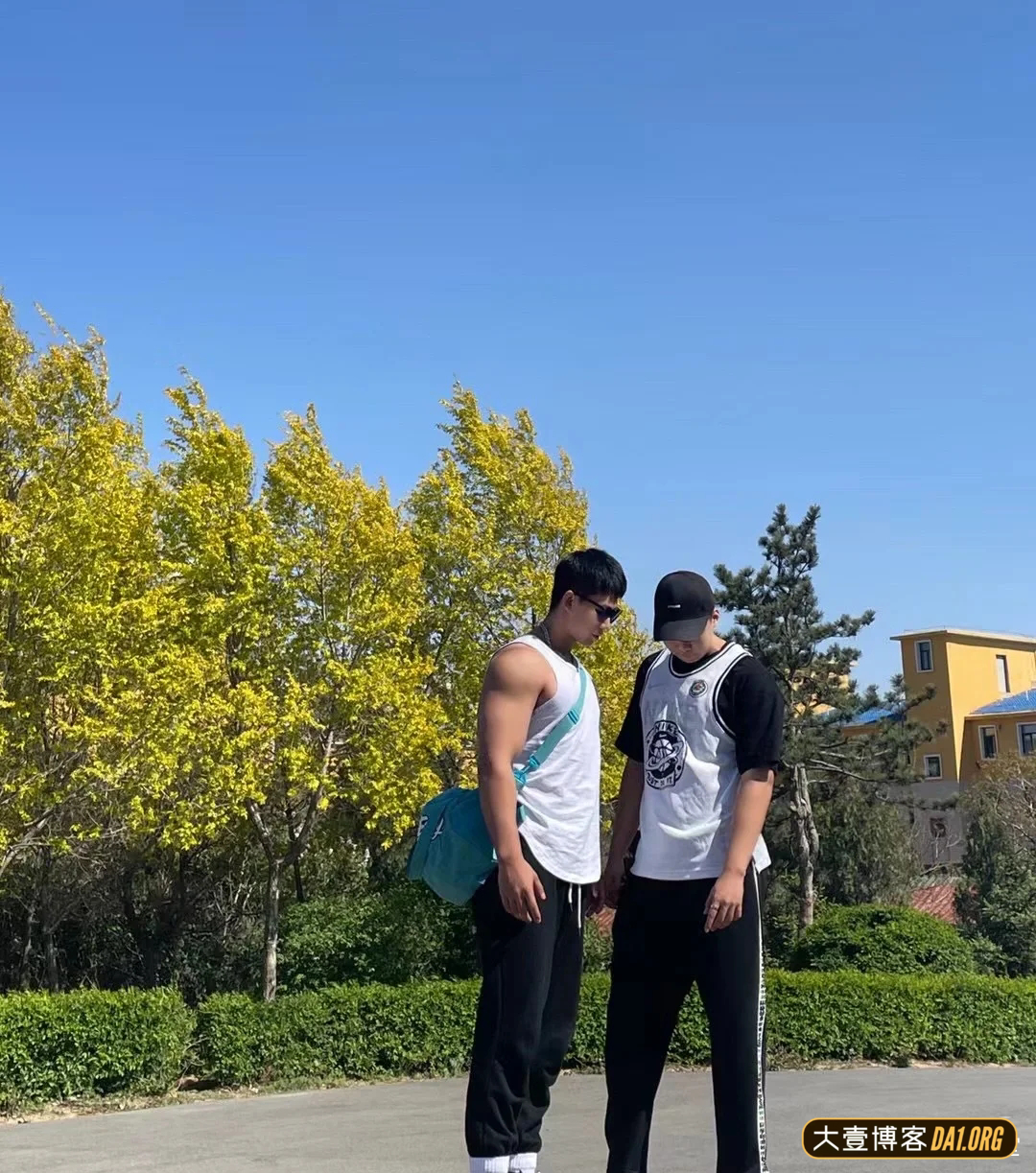 当一群肌肉男住在一起是什么体验呢？