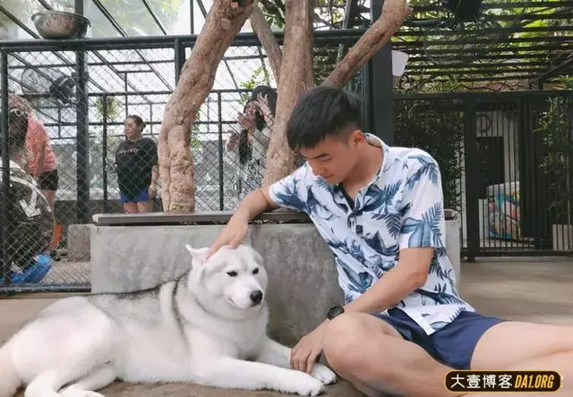 毕业于大连海事大学的乖巧型小帅哥,是做你男朋友的料子吗? 毕业于大连海事大学的乖巧型小帅哥,是做你男朋友的料子吗?
