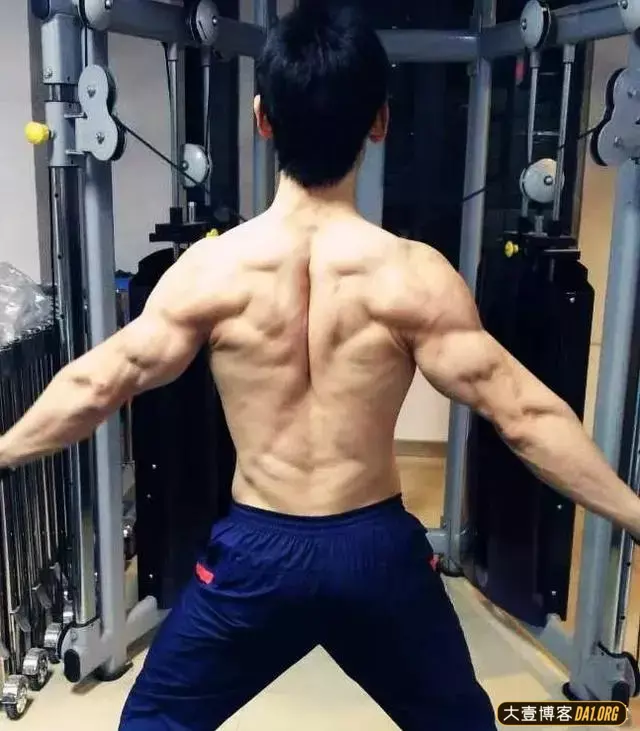 咏春拳师变筋肉男:这个32岁河南汉子不得了! 咏春拳师变筋肉男:这个32岁河南汉子不得了!