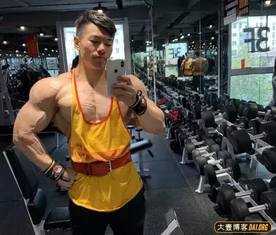 90后老板的健身小秘诀:遵从基础训练,不断提高,缺哪磕哪! 90后老板的健身小秘诀:遵从基础训练,不断提高,缺哪磕哪!