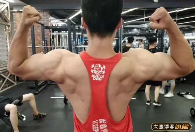 健身爱好者:只有汗水浇铸出来的才是真汉子! 健身爱好者:只有汗水浇铸出来的才是真汉子!