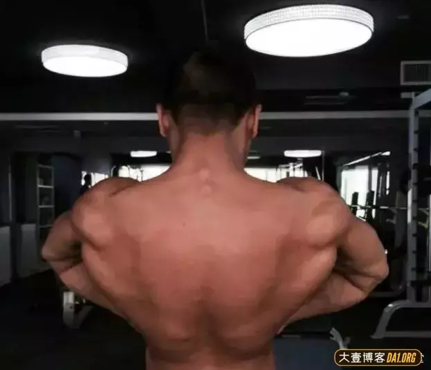 健身教练的名言:身高不行,肌肉来凑! 健身教练的名言:身高不行,肌肉来凑!