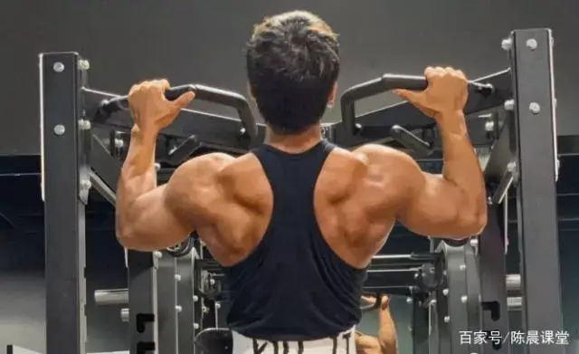 发现健身本身的美,才能练出自己理想的身材! 发现健身本身的美,才能练出自己理想的身材!