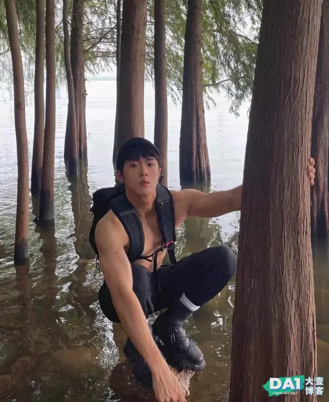独自一人丛林冒险,别看一副小奶狗模样,胆子不小,让人刮目相看 独自一人丛林冒险,别看一副小奶狗模样,胆子不小,让人刮目相看