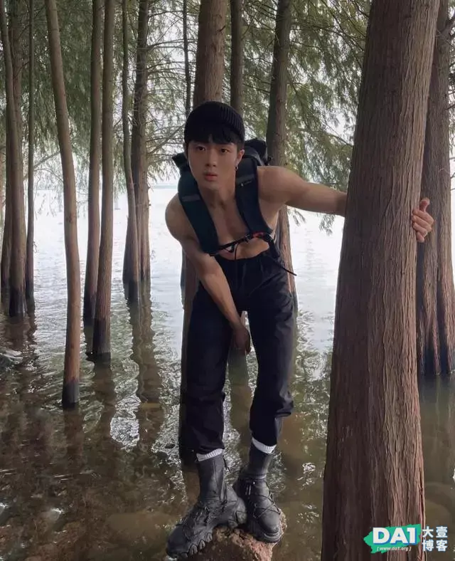 独自一人丛林冒险,别看一副小奶狗模样,胆子不小,让人刮目相看 独自一人丛林冒险,别看一副小奶狗模样,胆子不小,让人刮目相看