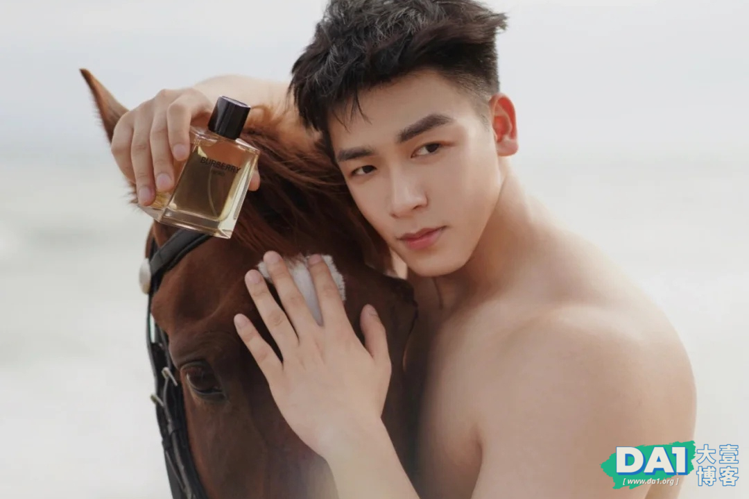 唯美画面与男体总是让人怀念，海边健壮型男拍出轻柔与洒脱气质！-大壹博客