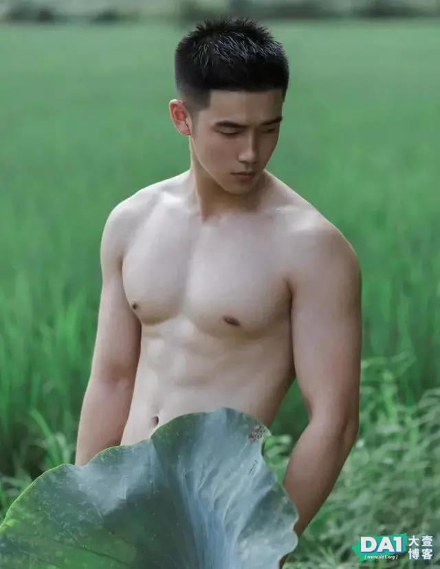 乡野气息,淳朴少年,留住这个夏天最后一点绿,清新脱俗画面唯美 乡野气息,淳朴少年,留住这个夏天最后一点绿,清新脱俗画面唯美