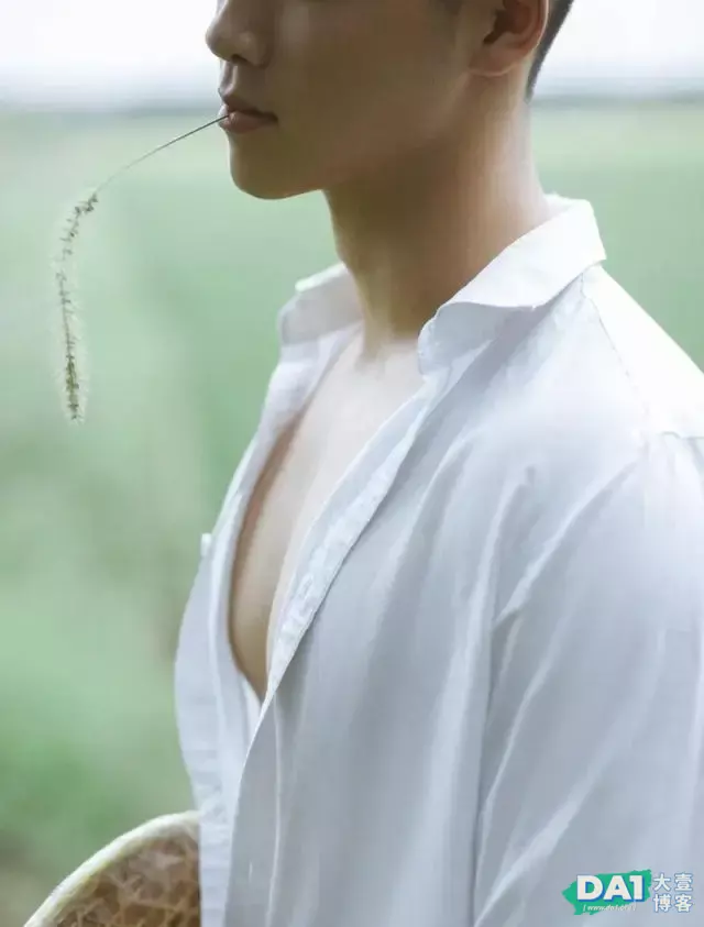 乡野气息,淳朴少年,留住这个夏天最后一点绿,清新脱俗画面唯美 乡野气息,淳朴少年,留住这个夏天最后一点绿,清新脱俗画面唯美