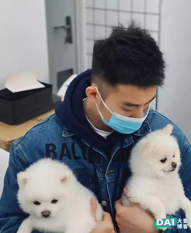 短暂的快乐毫无意义 短暂的快乐毫无意义